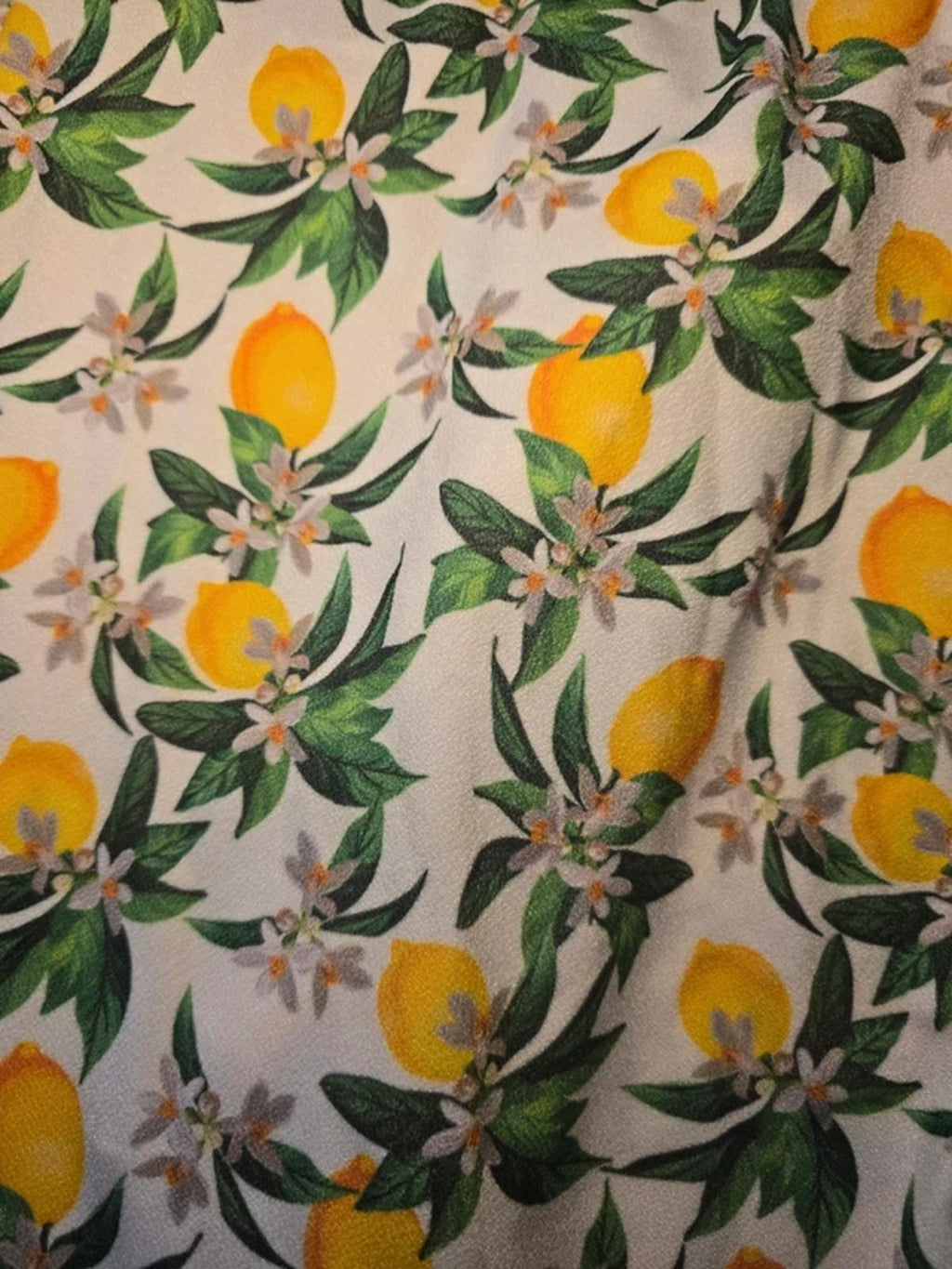 BNWT Lasula Boutique lemon print wrap and Ruffle mini dress, size 10
