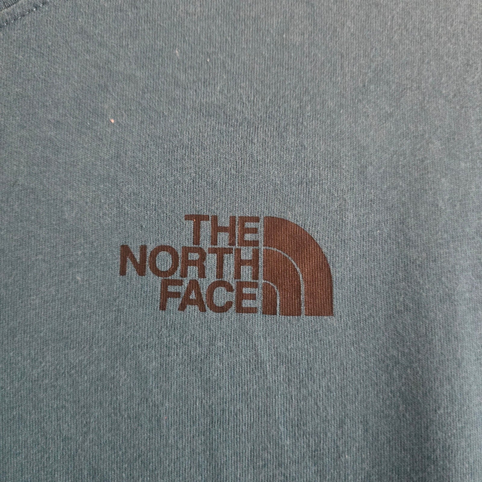 The North Face Men's Blue Graphic Crew Neck T-Shirt, Medium, Premium