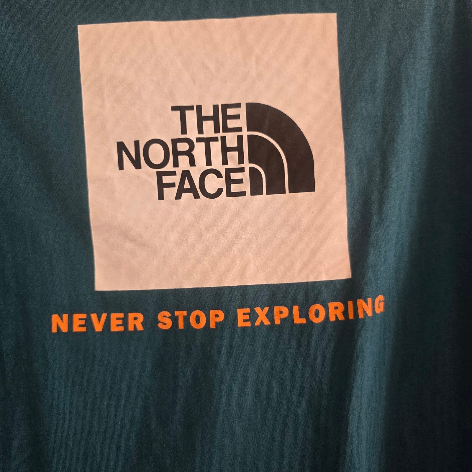 The North Face Men's Blue Graphic Crew Neck T-Shirt, Medium, Premium