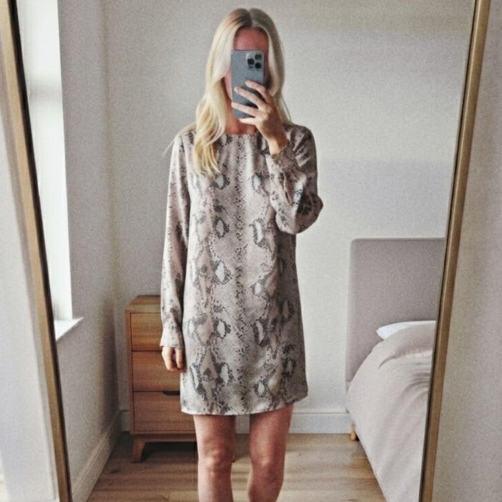 Zara Snake Print Long Sleeve Mini Dress, Silk/Satin feel, size S, sold out